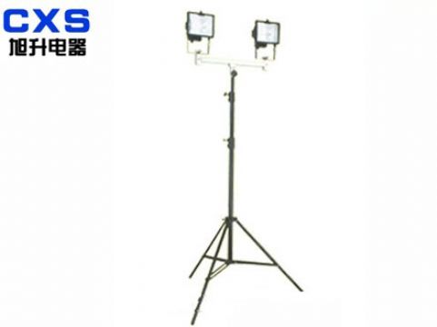 Portable Rise And Down Working Lamp
